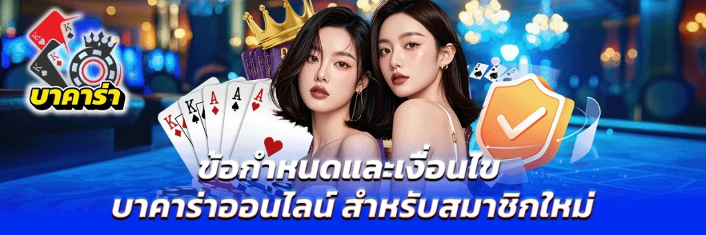 ข้อกำหนดและเงื่อนไข